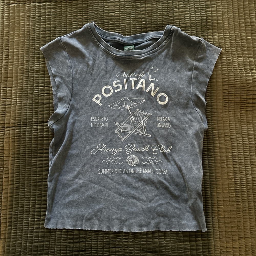 Wild Fable Gray Positano Graphic Cropped t shirt size xs